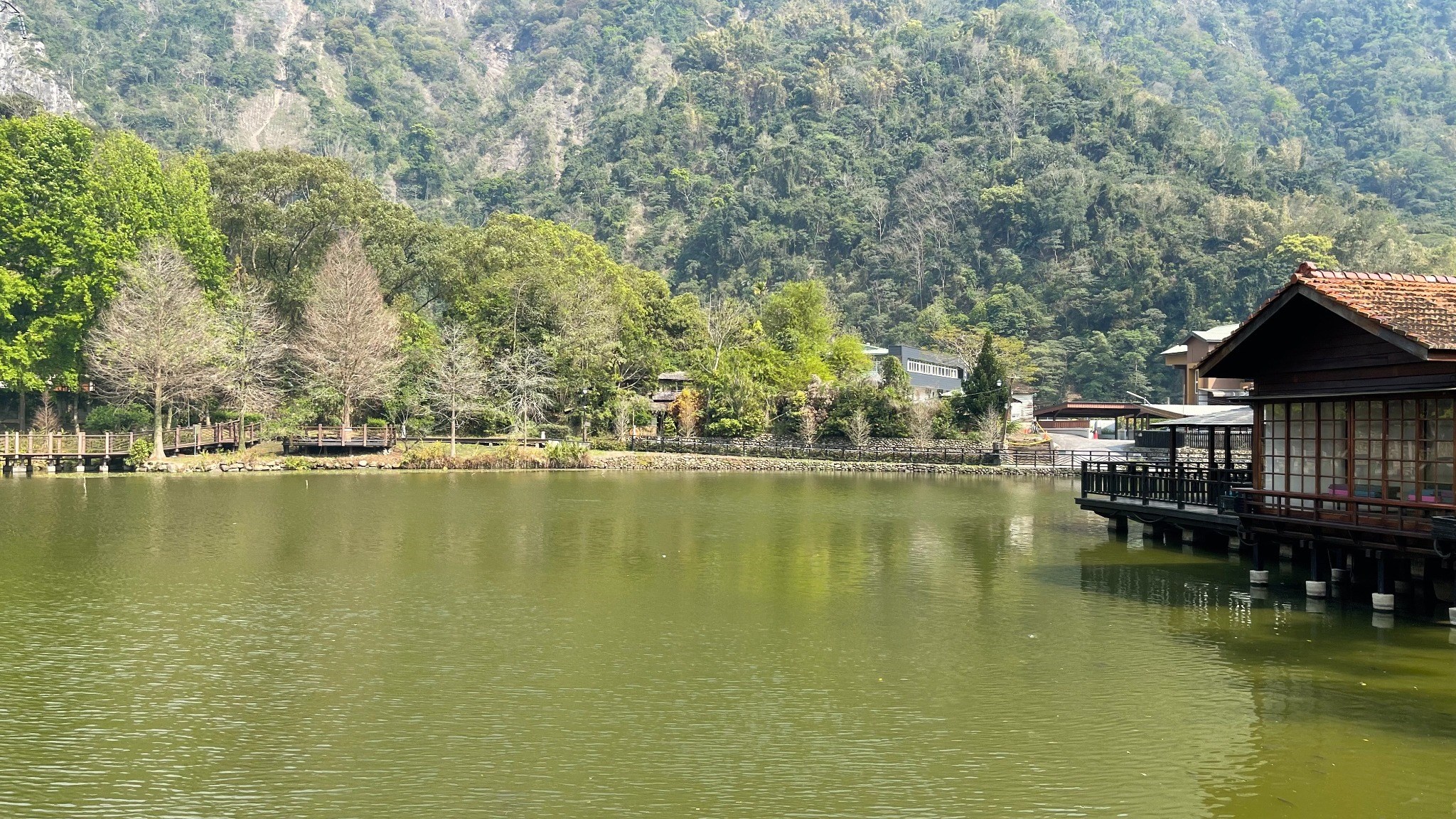 綠色旅遊~日月潭低碳行.日式車埕小鎮.溪頭森呼吸二日