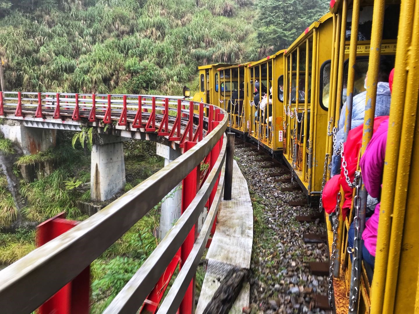 綠色旅遊~冬山綠舟生態.馬告神木生態園區.太平山小火車.見晴懷舊步道2日