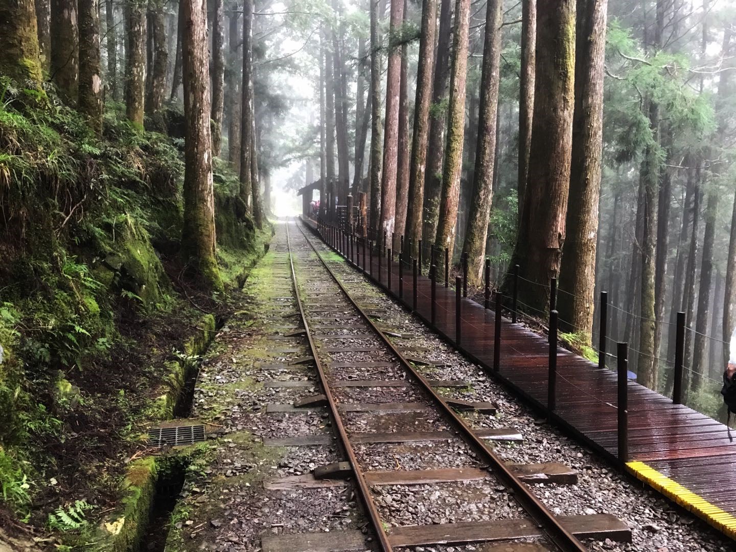 綠色旅遊~冬山綠舟生態.馬告神木生態園區.太平山小火車.見晴懷舊步道2日