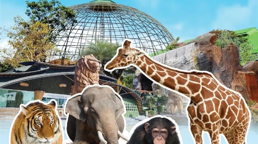 曼谷半自由行5日｜三日自由活動｜大城府動物園．泰服體驗．粉紅三頭象博物館