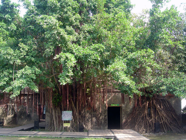 Anping Tree House