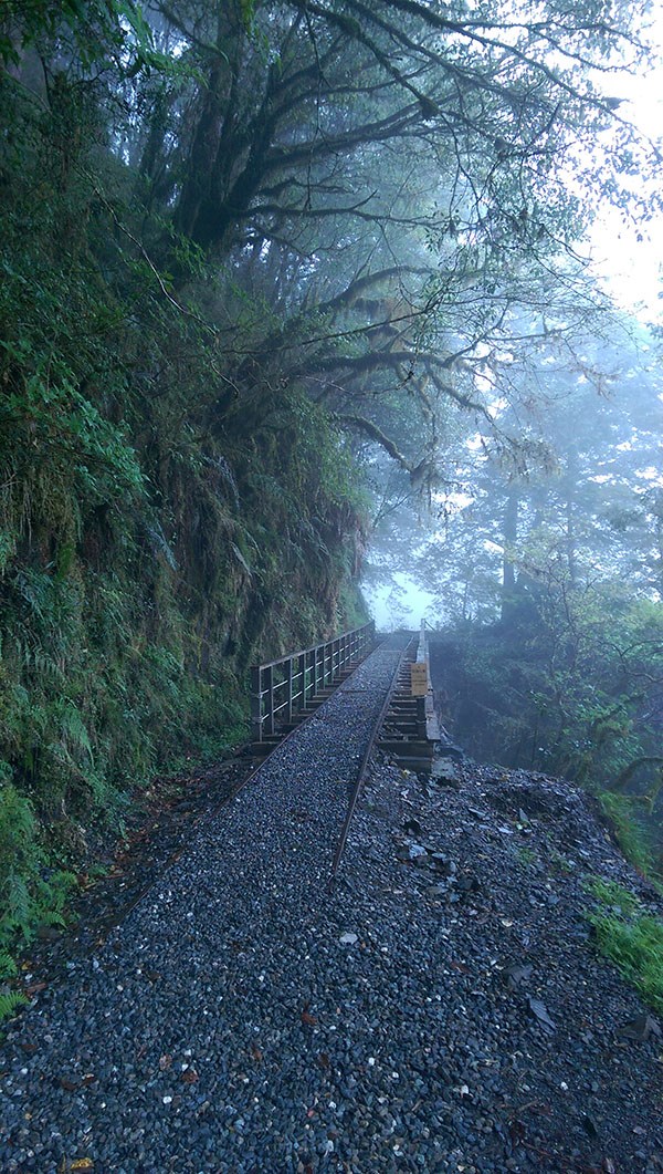 Taipingshan National Forest Recreation Area